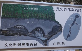 富岳風穴 洞窟内マップ
