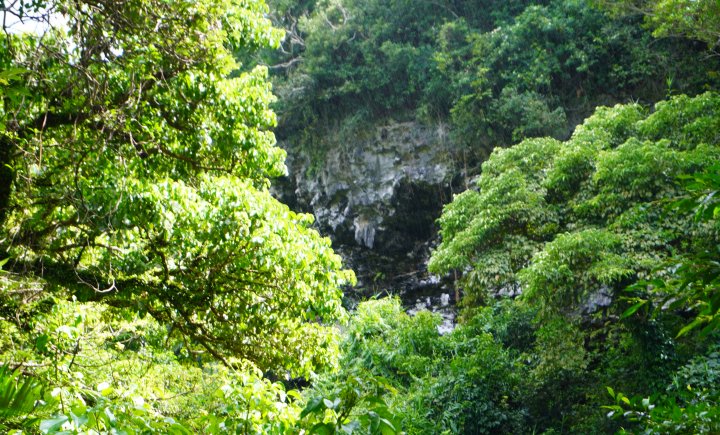 崖の壁面に洞窟